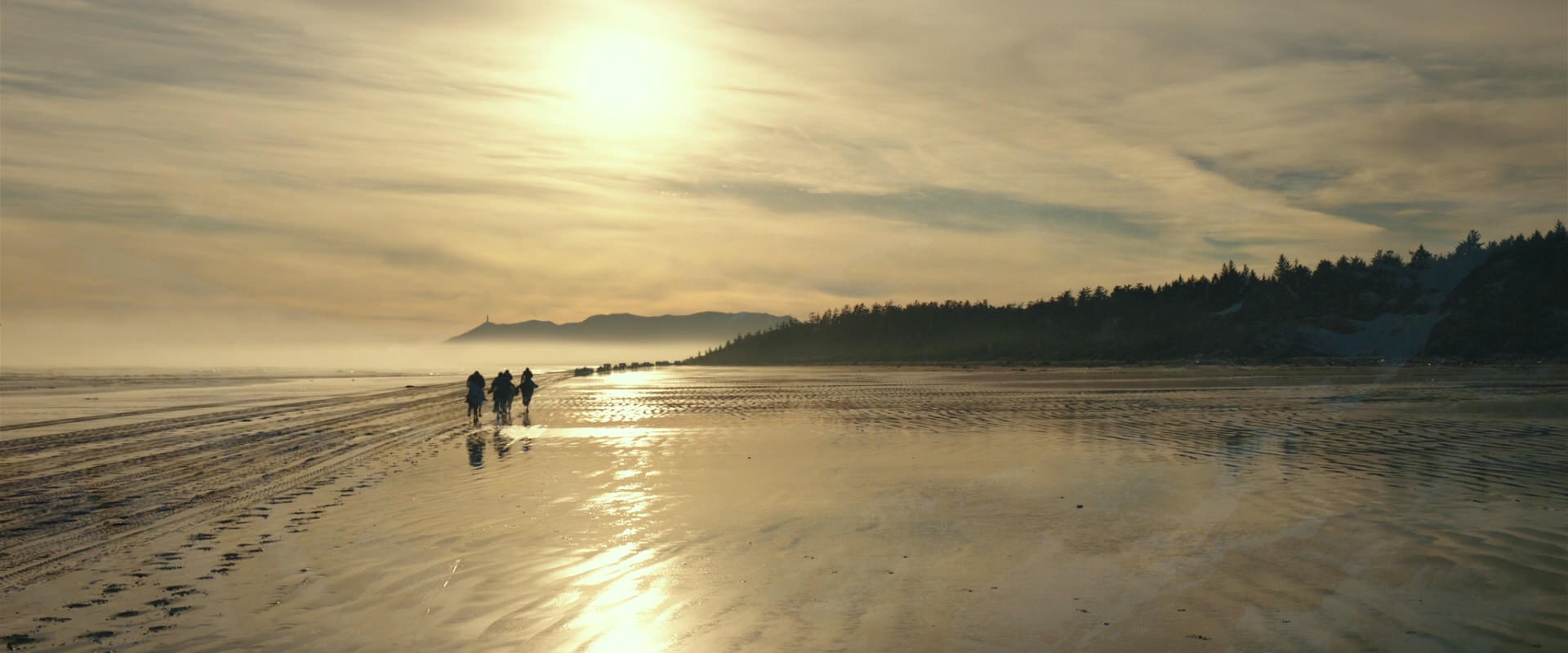 War for the Planet of the Apes (2017) screencap 4509