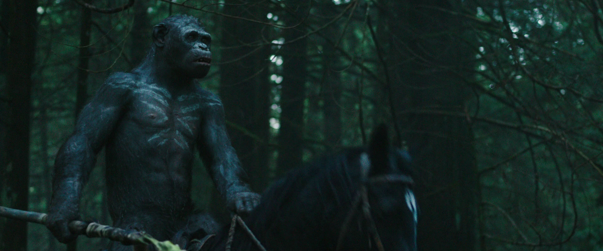 War for the Planet of the Apes (2017) movie still 451