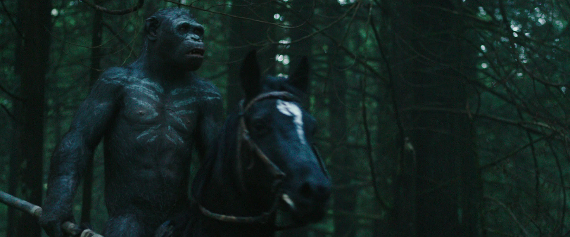 War for the Planet of the Apes (2017) HD screenshot 452