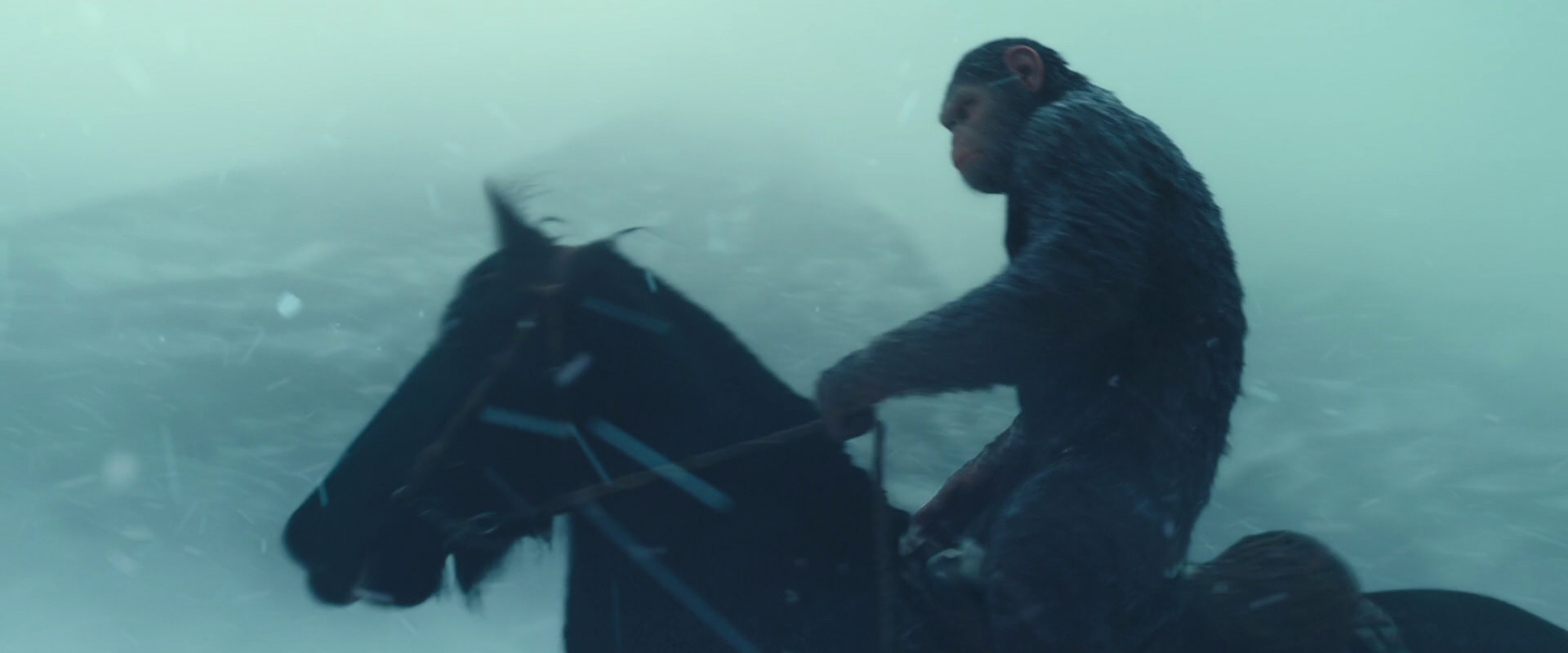 War for the Planet of the Apes (2017) screencap 4524