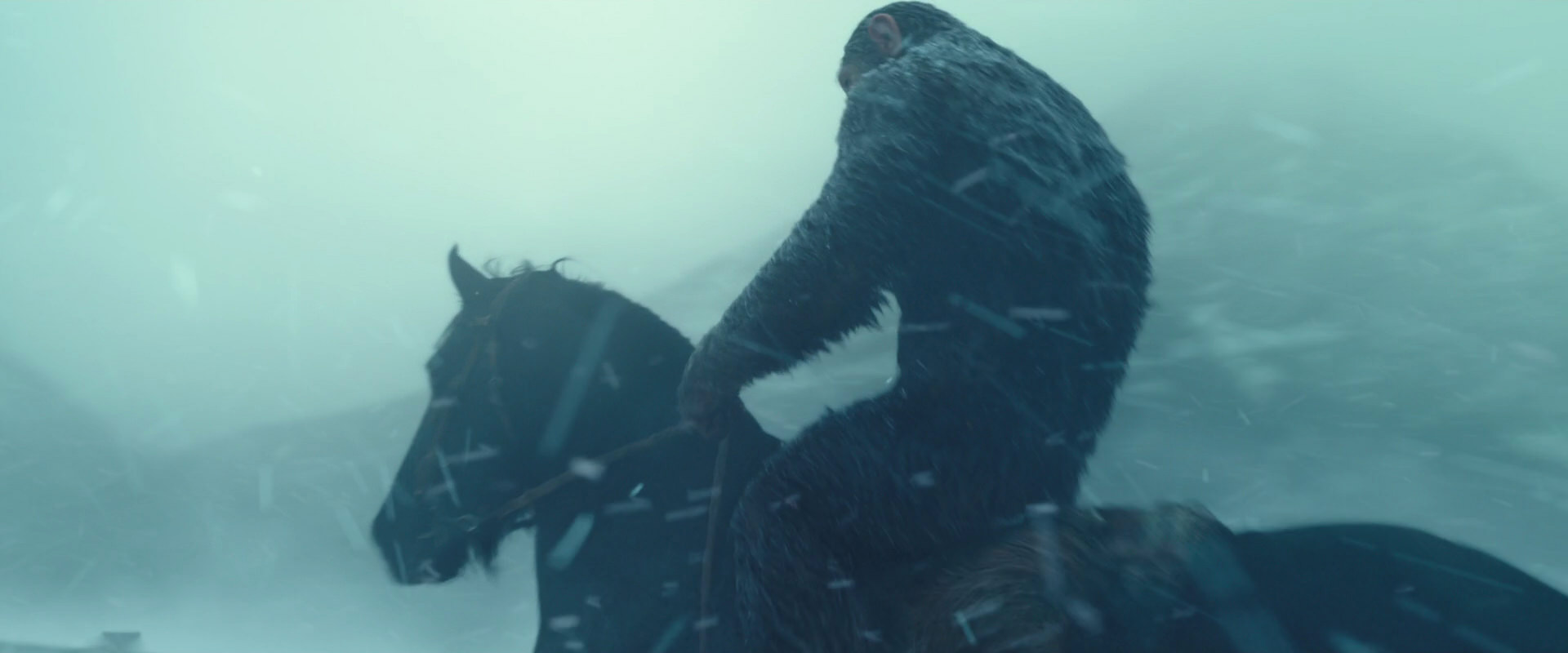 War for the Planet of the Apes (2017) movie still 4525