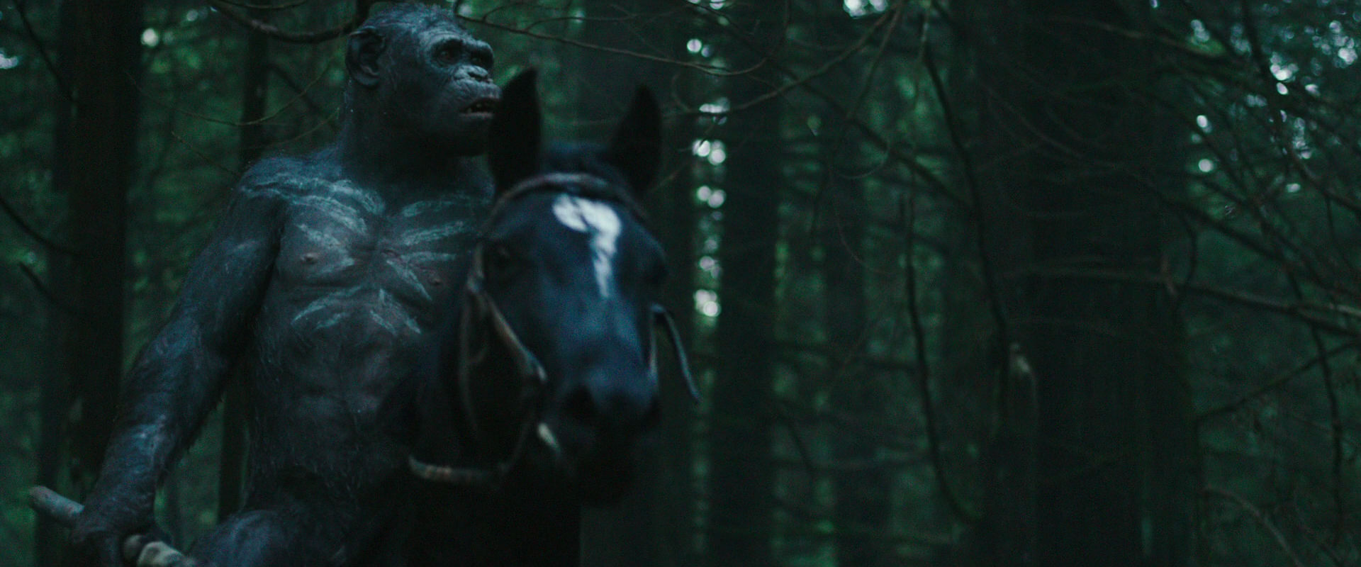 War for the Planet of the Apes (2017) screencap 453