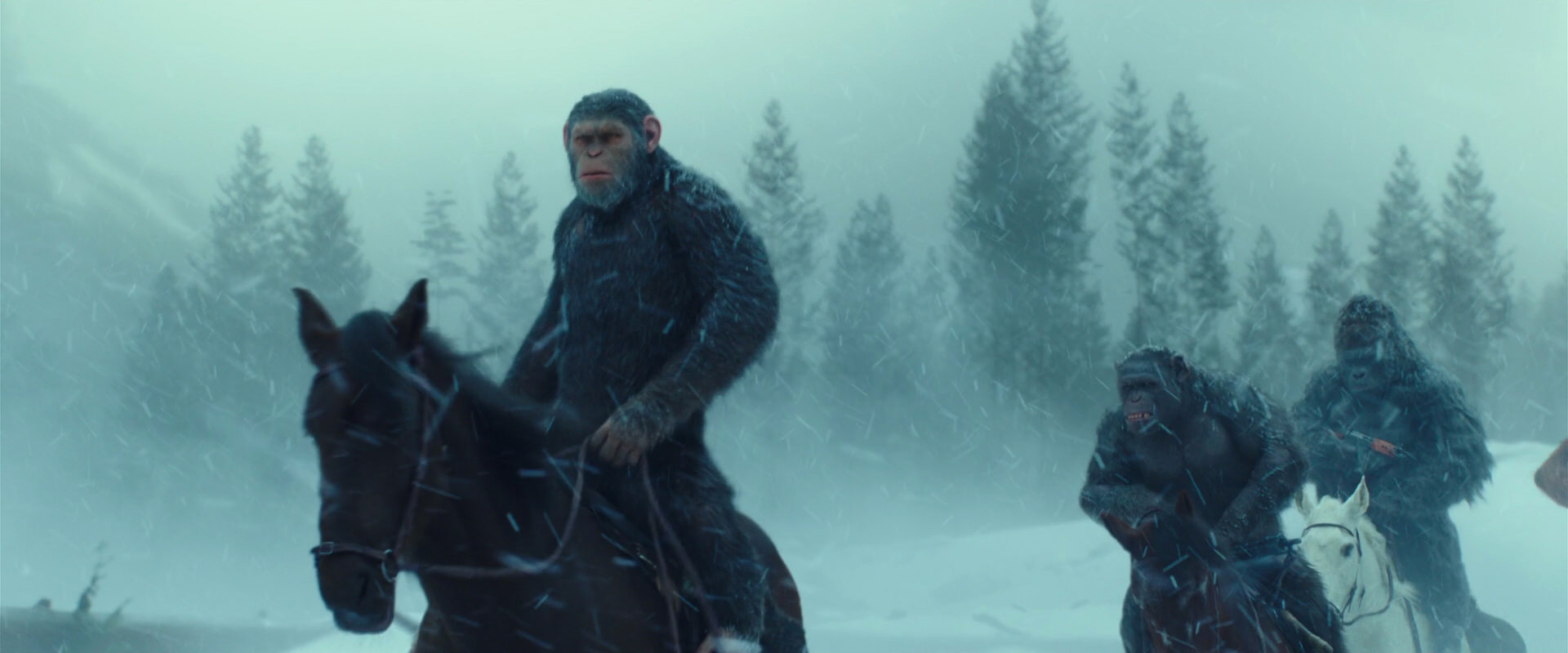 War for the Planet of the Apes (2017) screencap 4533