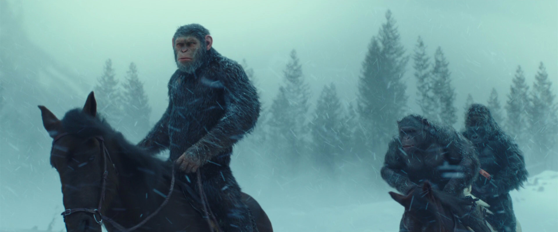 War for the Planet of the Apes (2017) movie still 4534