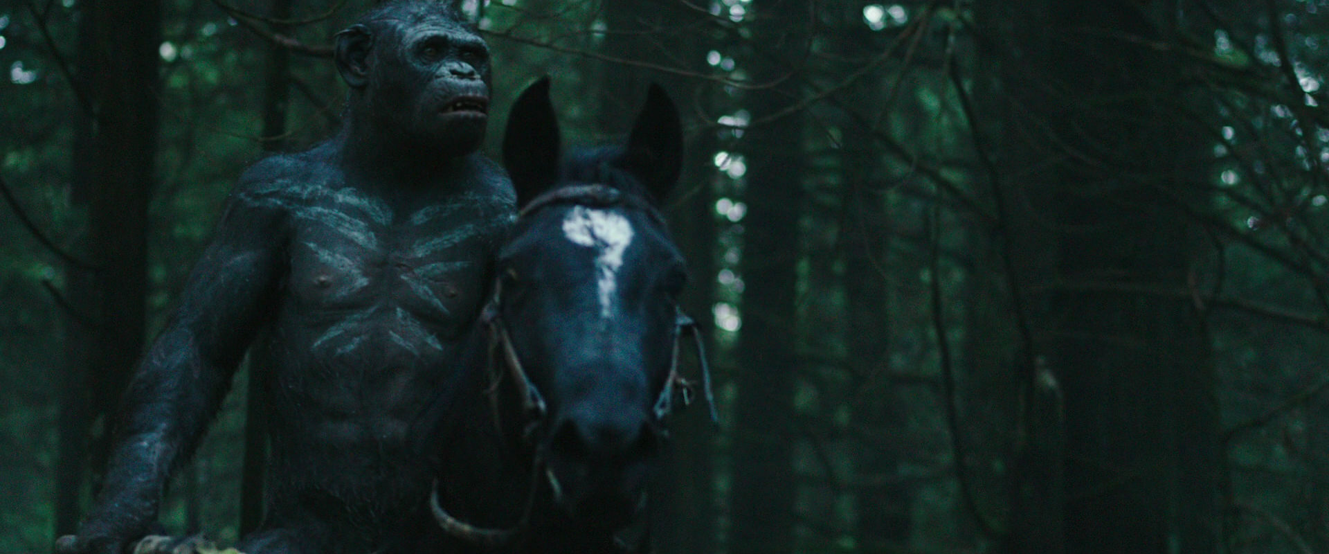 War for the Planet of the Apes (2017) movie still 454