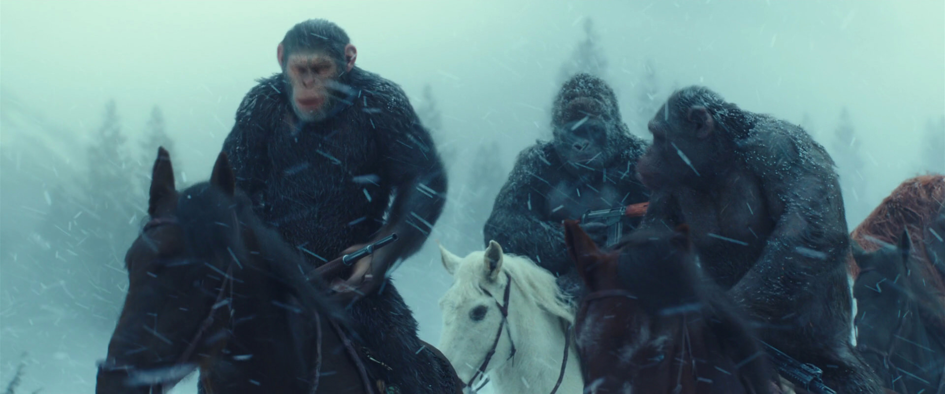 War for the Planet of the Apes (2017) movie still 4546