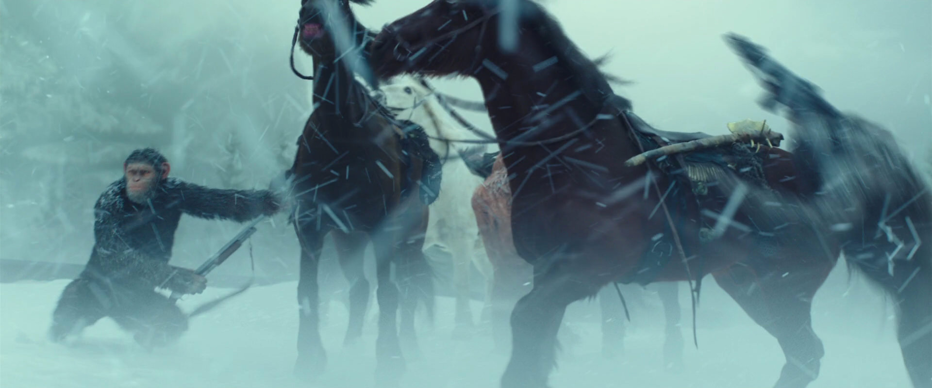 War for the Planet of the Apes (2017) screencap 4551