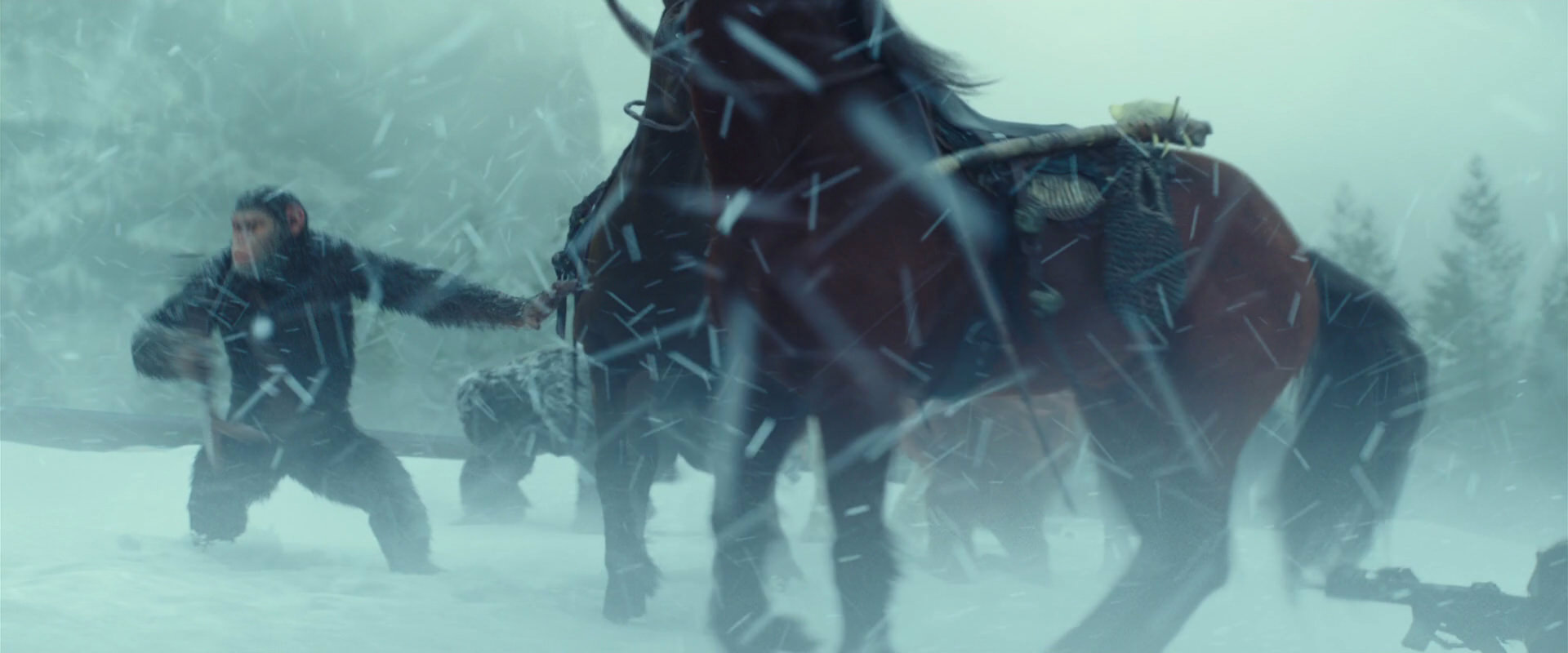 War for the Planet of the Apes (2017) movie still 4552