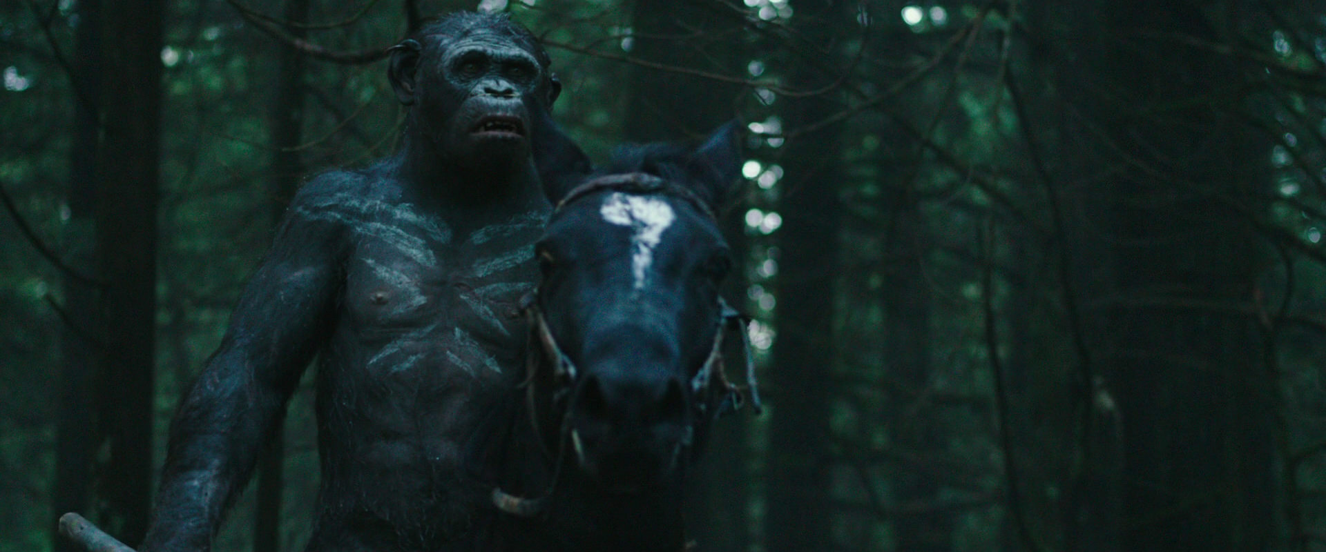 War for the Planet of the Apes (2017) screencap 456