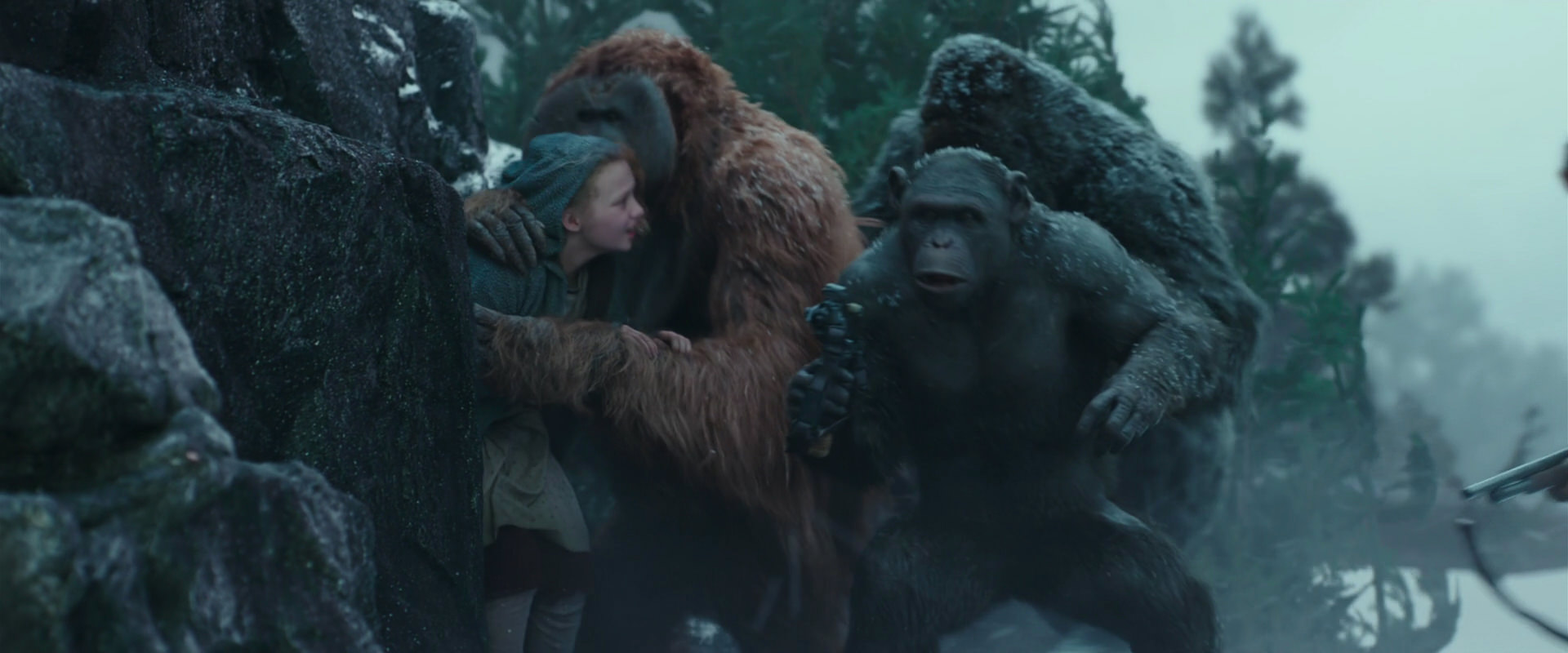 War for the Planet of the Apes (2017) movie still 4561