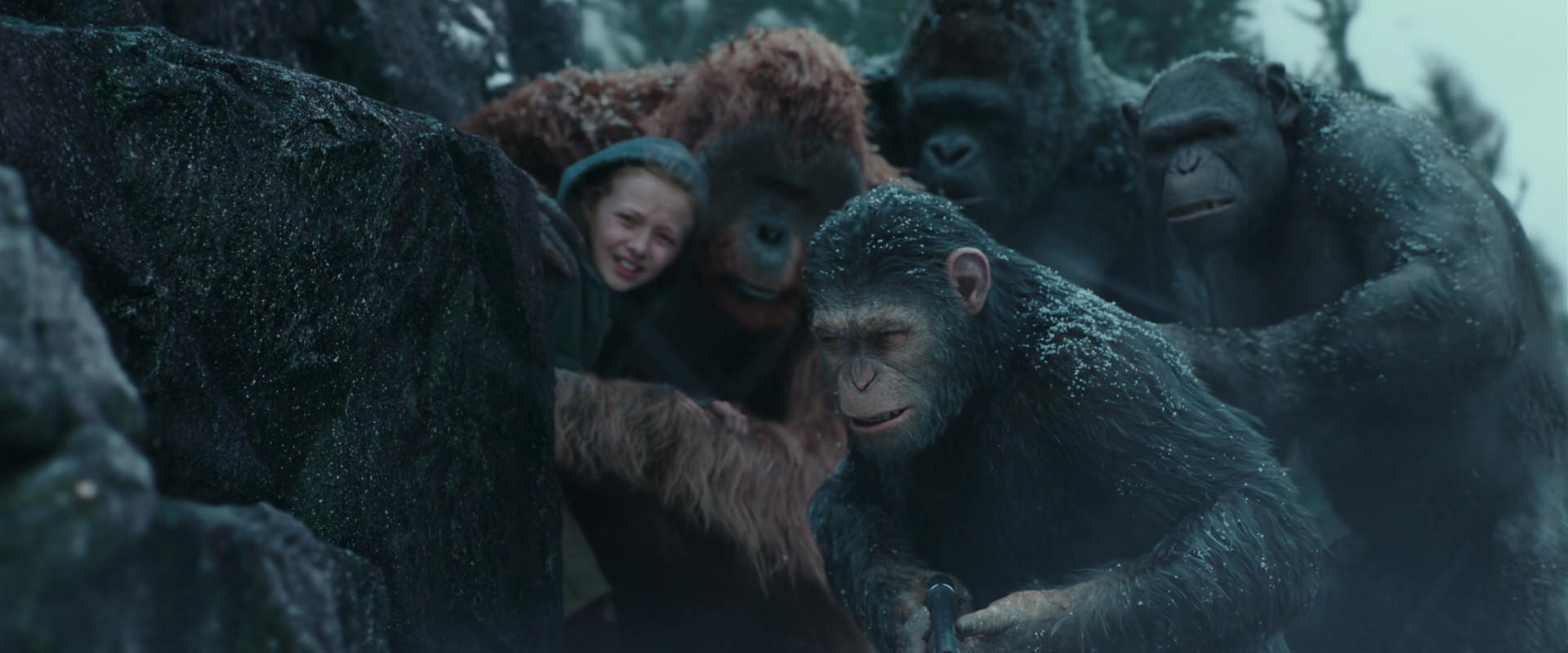 War for the Planet of the Apes (2017) movie still 4570