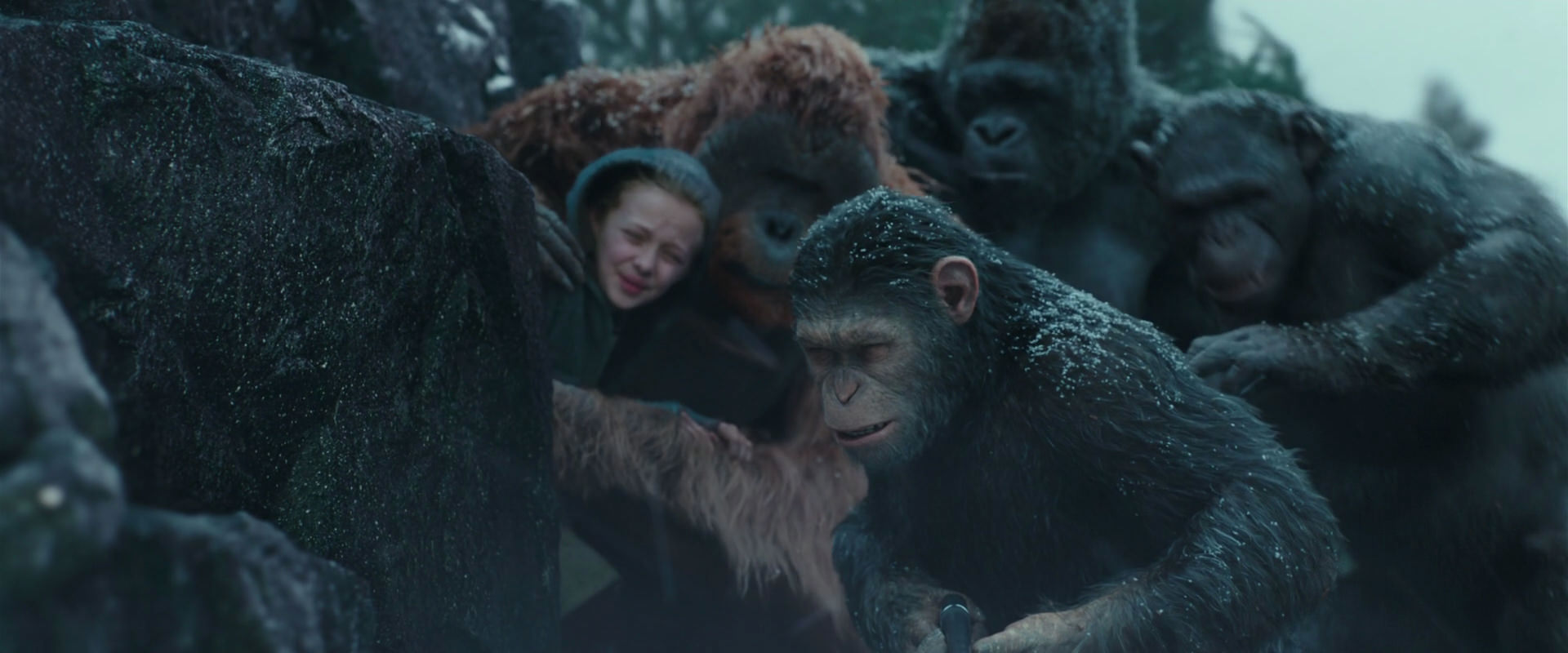 War for the Planet of the Apes (2017) HD screenshot 4571