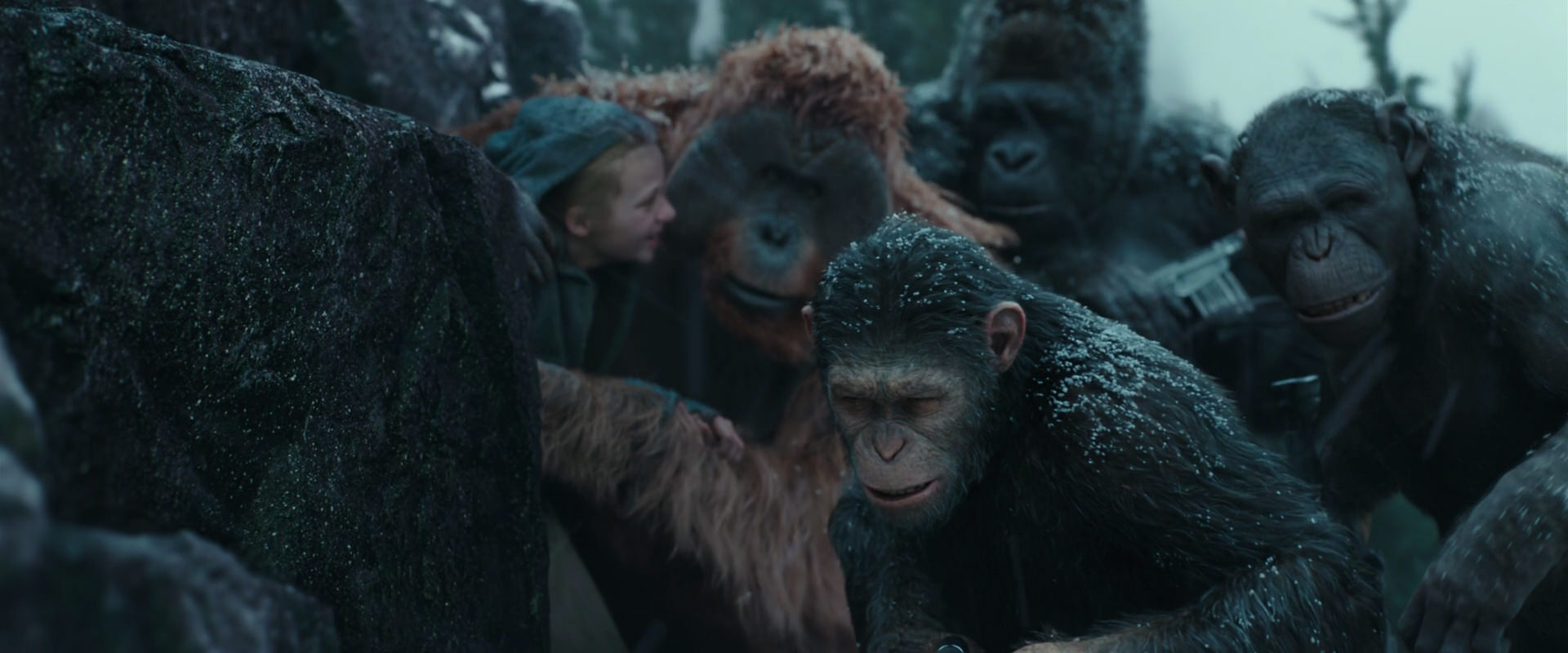 War for the Planet of the Apes (2017) movie still 4573