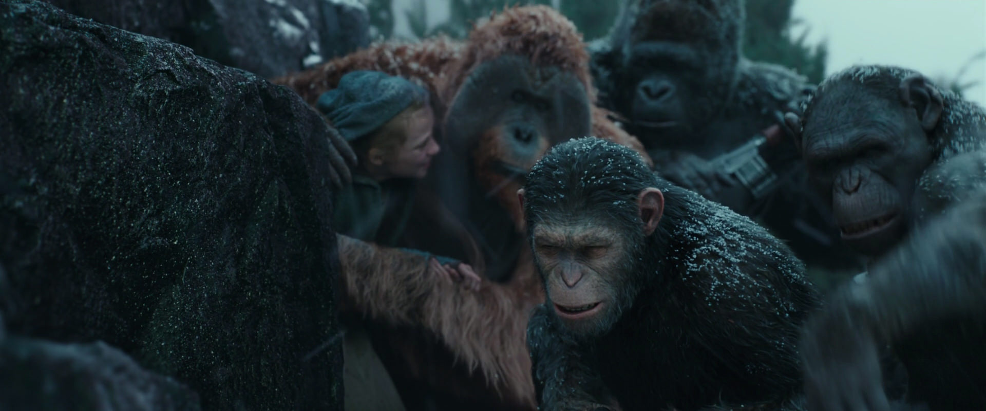 War for the Planet of the Apes (2017) HD screenshot 4574