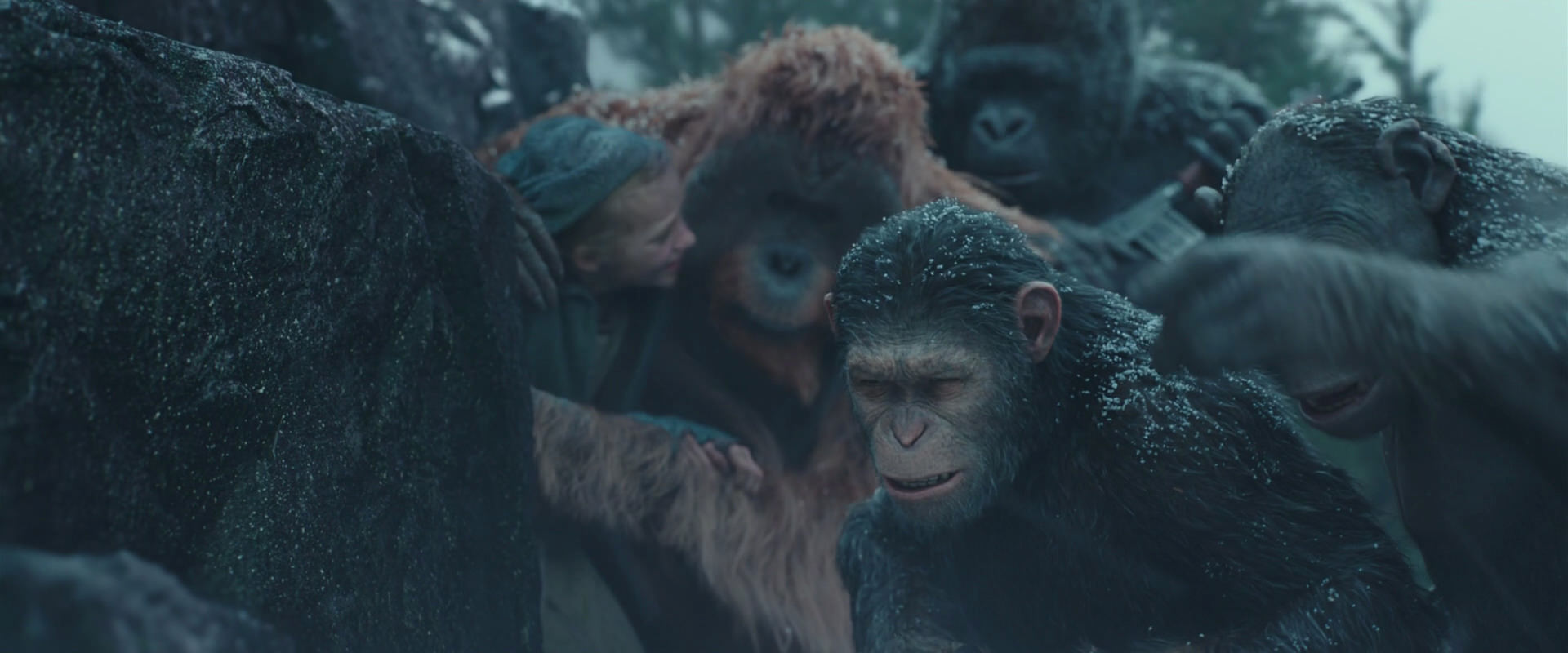 War for the Planet of the Apes (2017) screencap 4575