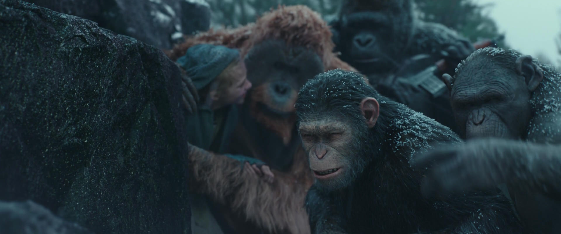 War for the Planet of the Apes (2017) movie still 4576