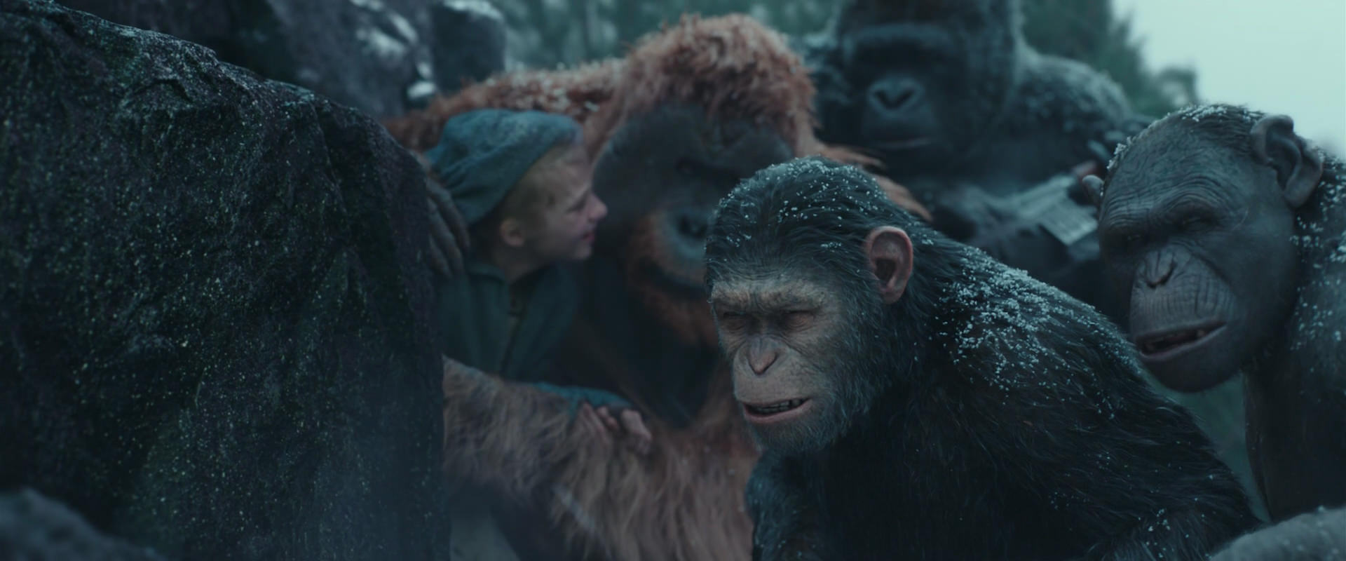 War for the Planet of the Apes (2017) HD screenshot 4577