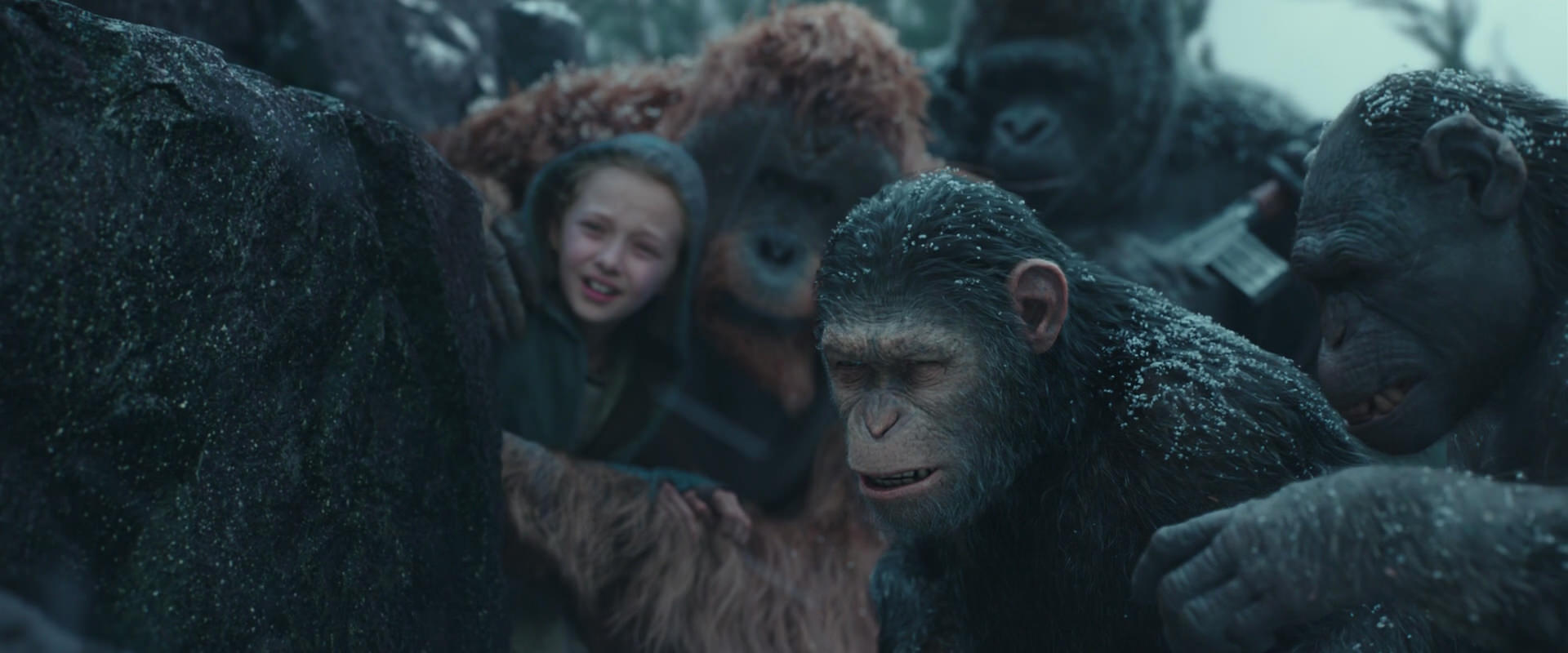 War for the Planet of the Apes (2017) screencap 4578