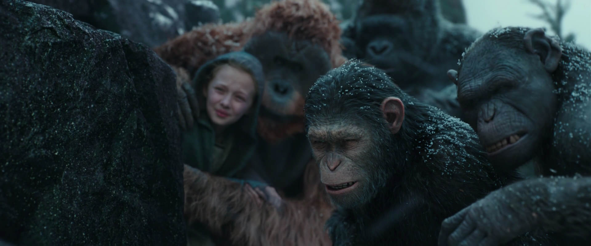 War for the Planet of the Apes (2017) movie still 4579