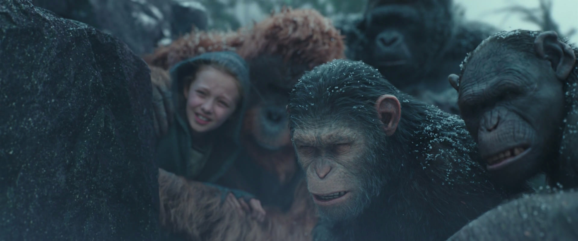 War for the Planet of the Apes (2017) movie still 4582