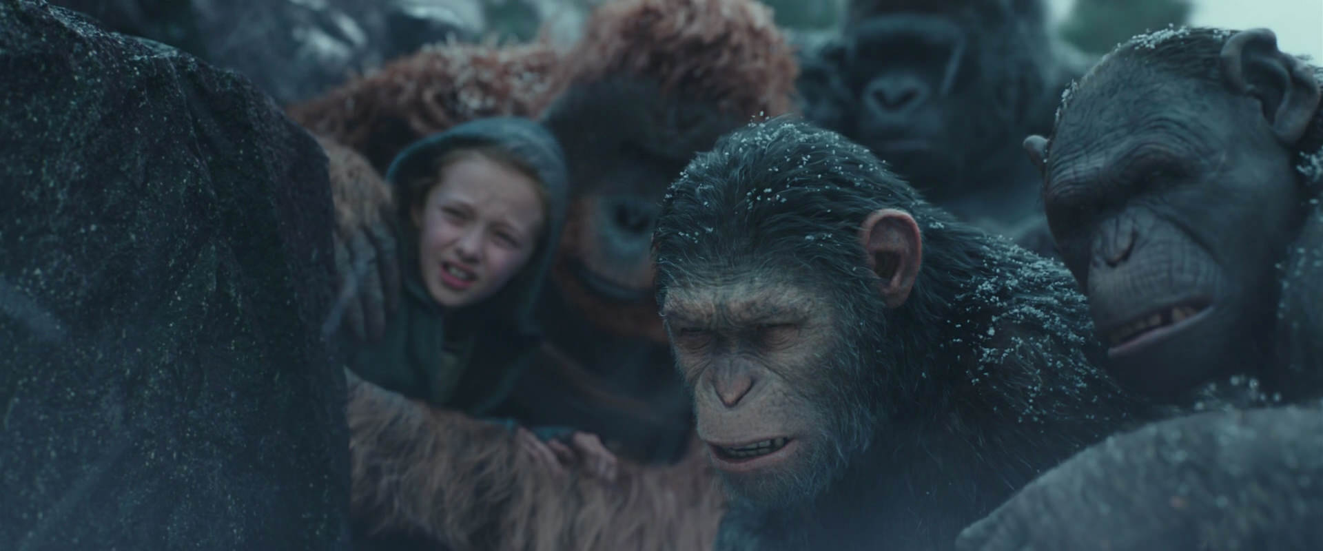 War for the Planet of the Apes (2017) HD screenshot 4583