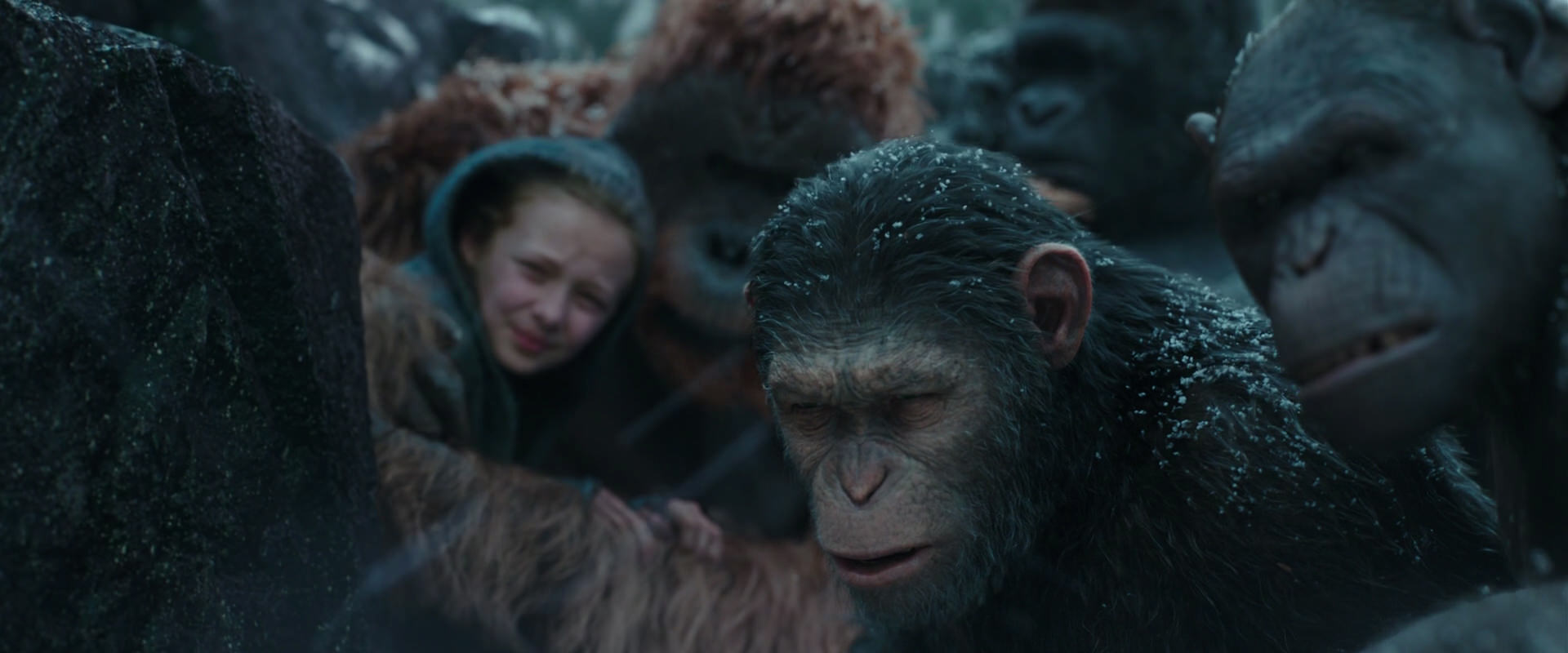 War for the Planet of the Apes (2017) movie still 4585