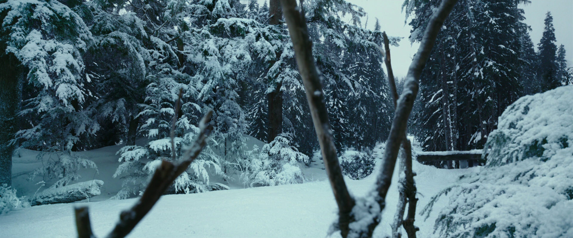 War for the Planet of the Apes (2017) screencap 4587