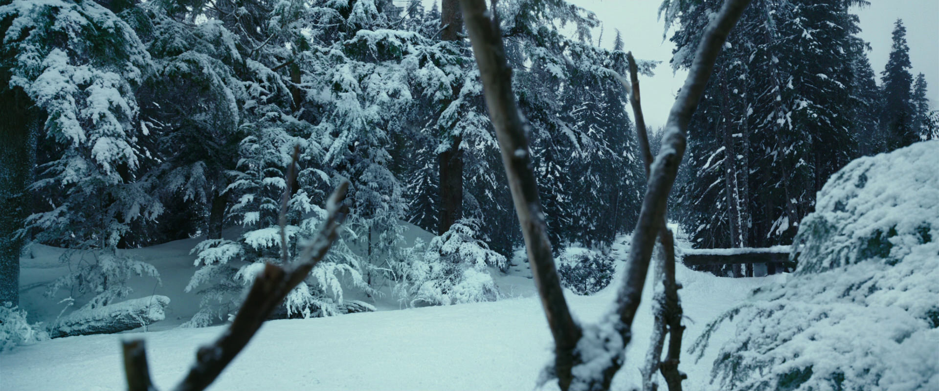 War for the Planet of the Apes (2017) movie still 4591