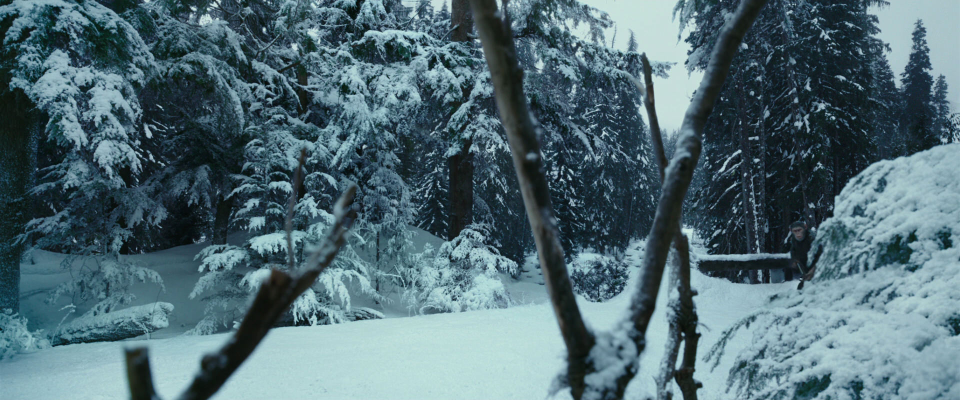War for the Planet of the Apes (2017) HD screenshot 4592