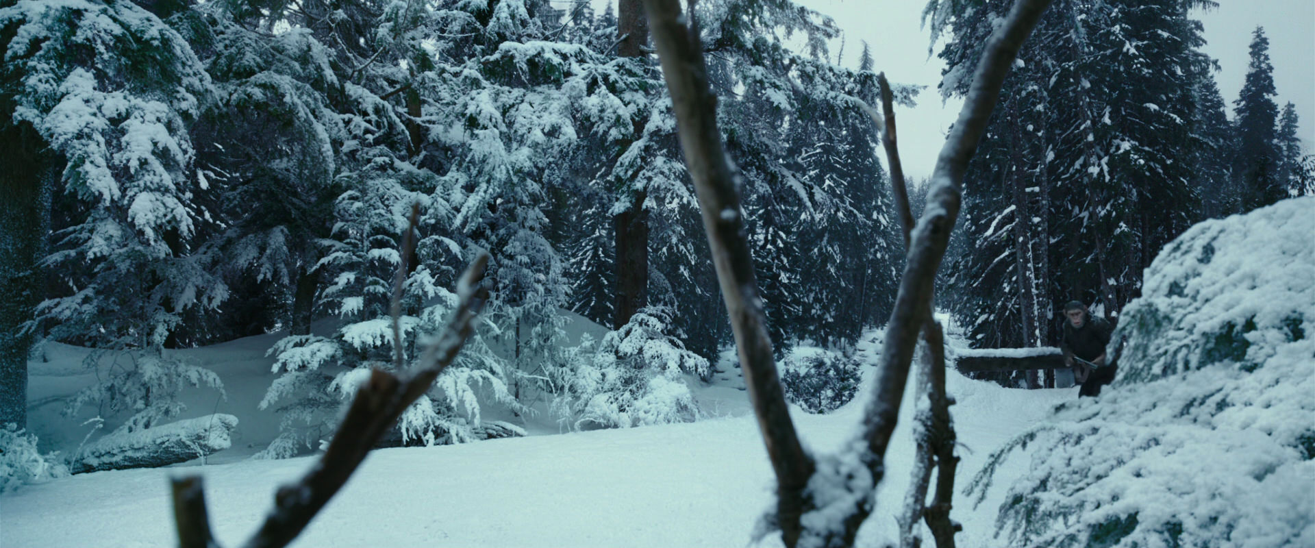 War for the Planet of the Apes (2017) screencap 4593