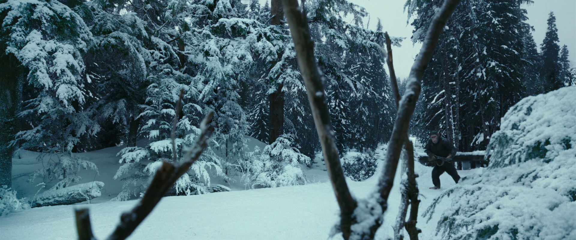 War for the Planet of the Apes (2017) screencap 4596