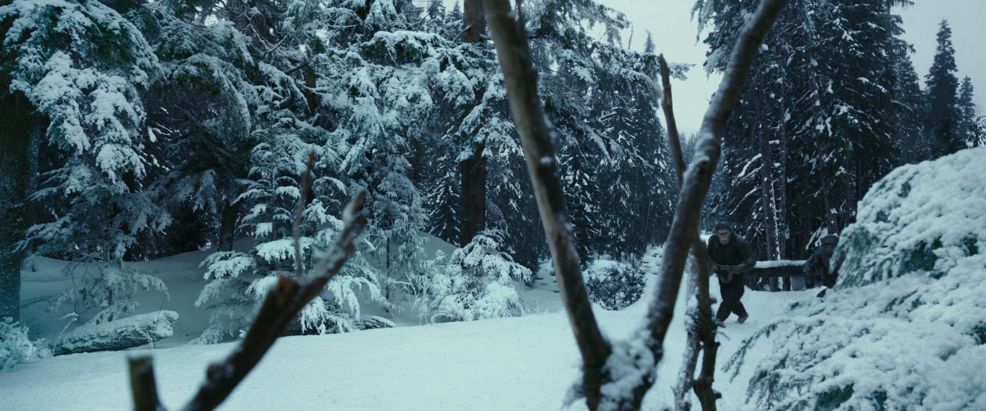War for the Planet of the Apes (2017) HD screenshot 4598