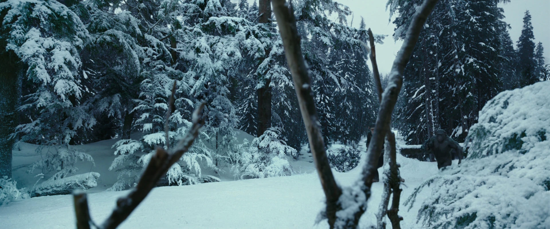 War for the Planet of the Apes (2017) movie still 4600