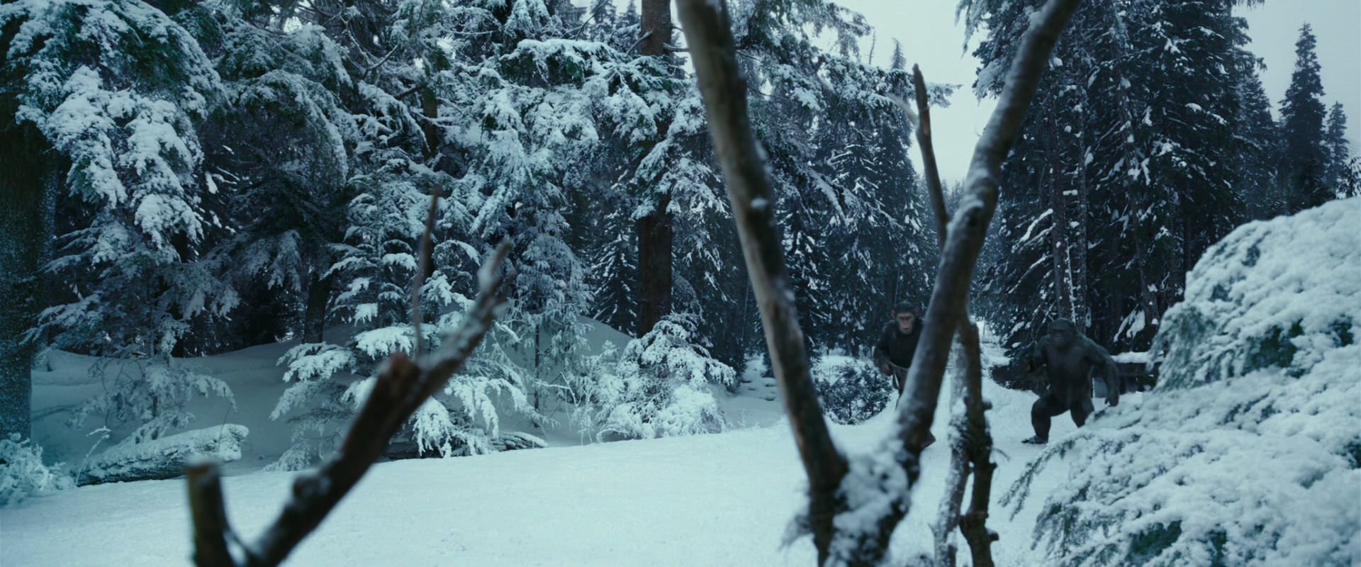 War for the Planet of the Apes (2017) HD screenshot 4601
