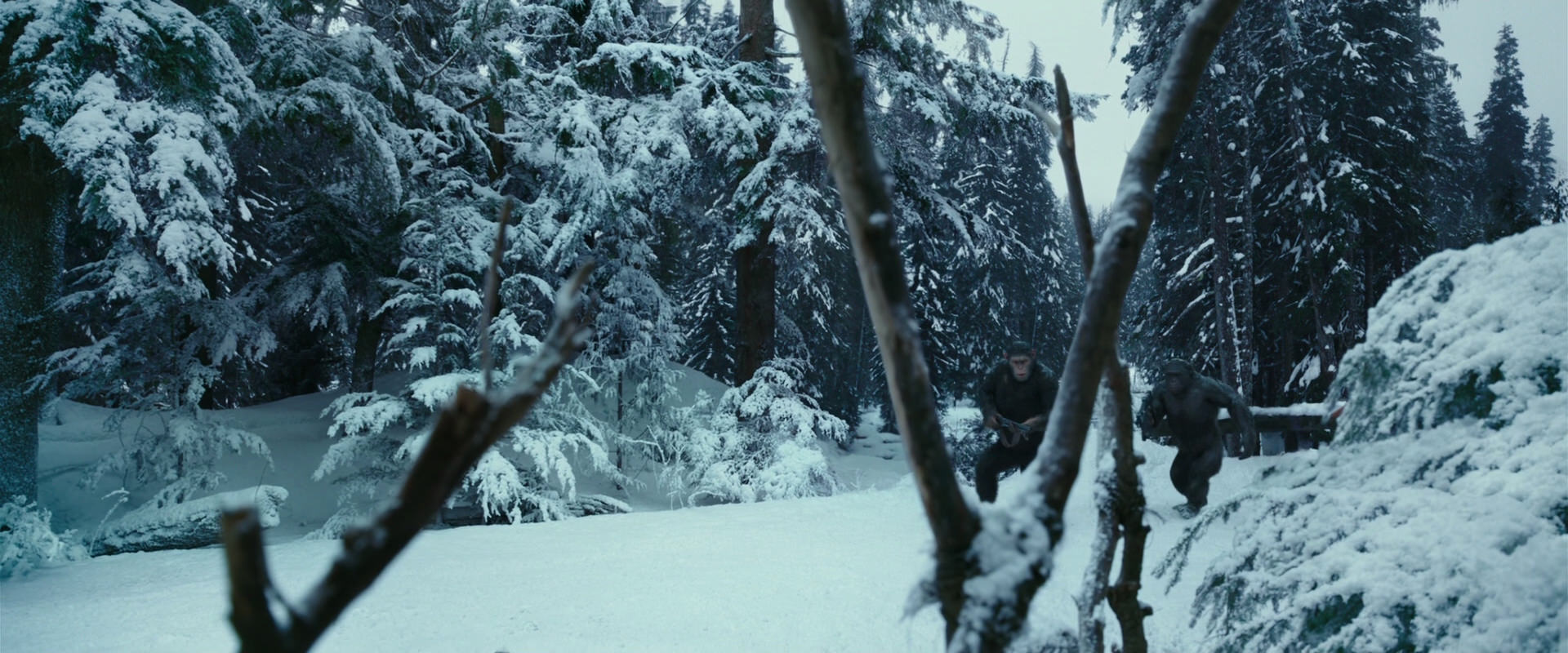 War for the Planet of the Apes (2017) screencap 4602