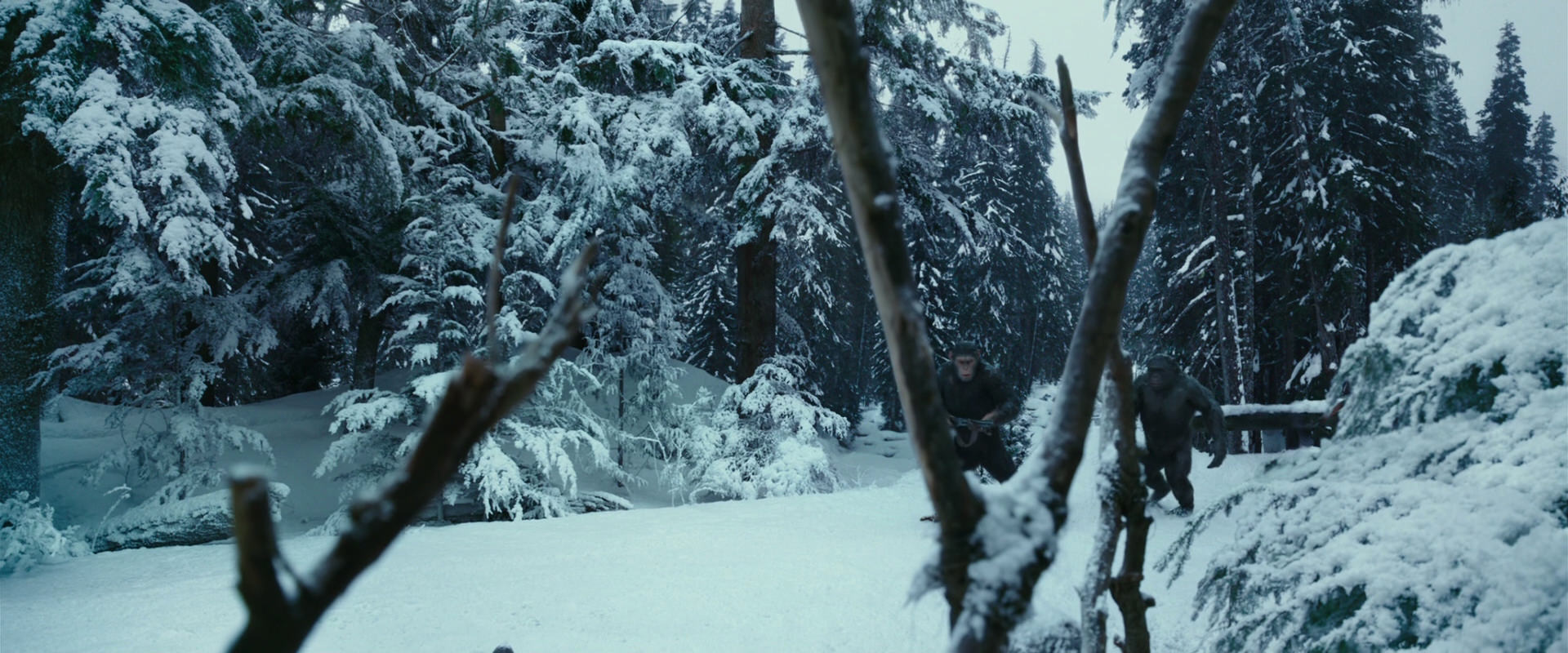 War for the Planet of the Apes (2017) movie still 4603
