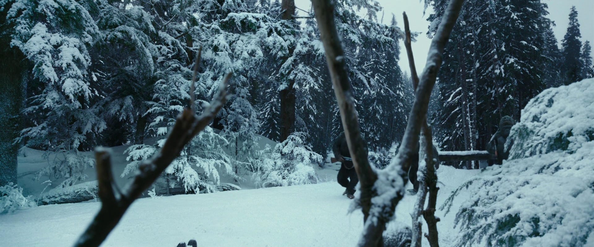 War for the Planet of the Apes (2017) screencap 4605