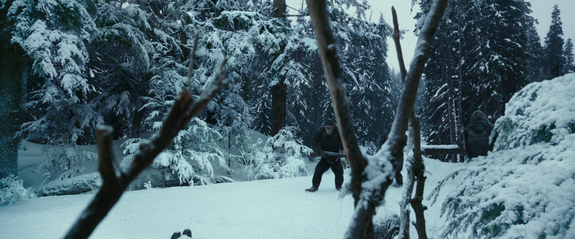 War for the Planet of the Apes (2017) movie still 4606