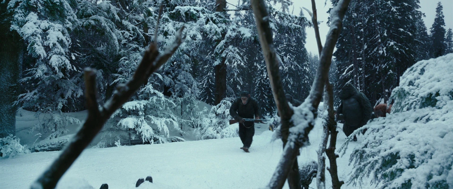 War for the Planet of the Apes (2017) screencap 4608