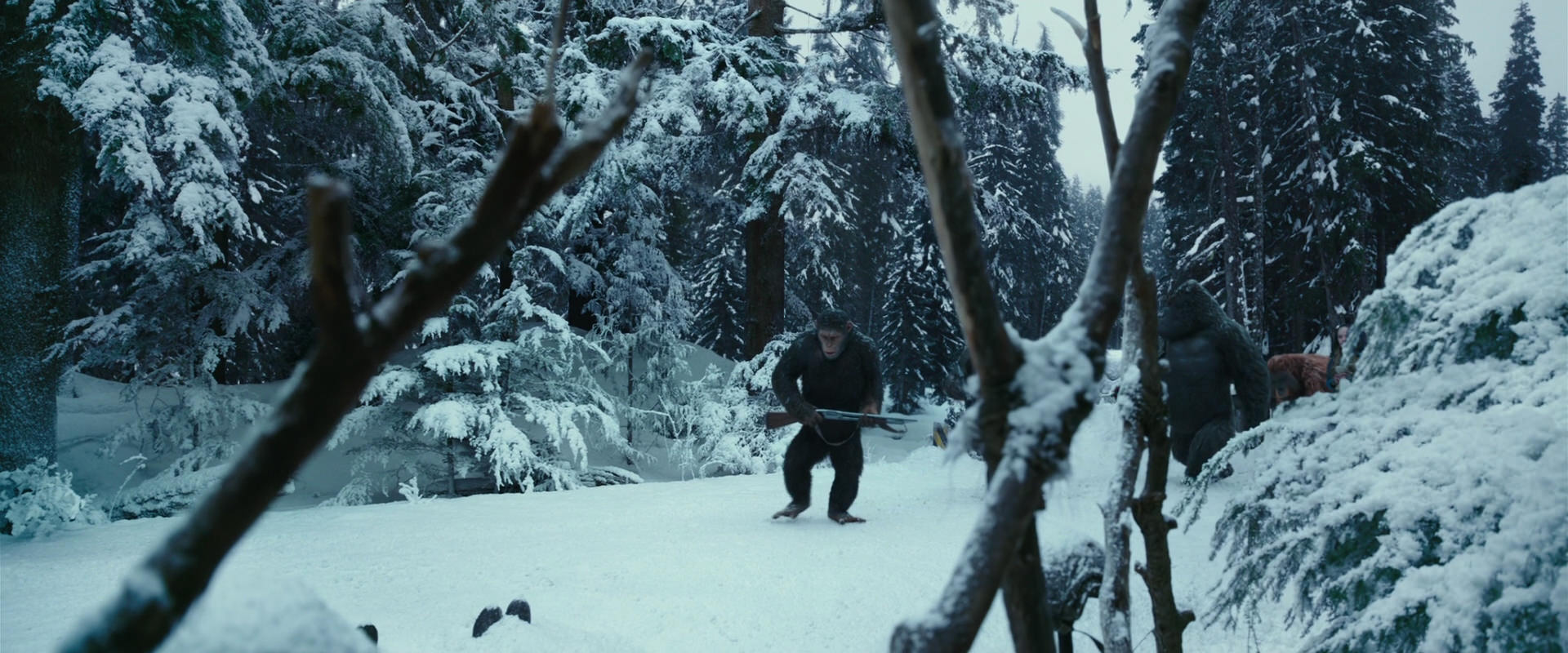 War for the Planet of the Apes (2017) movie still 4609