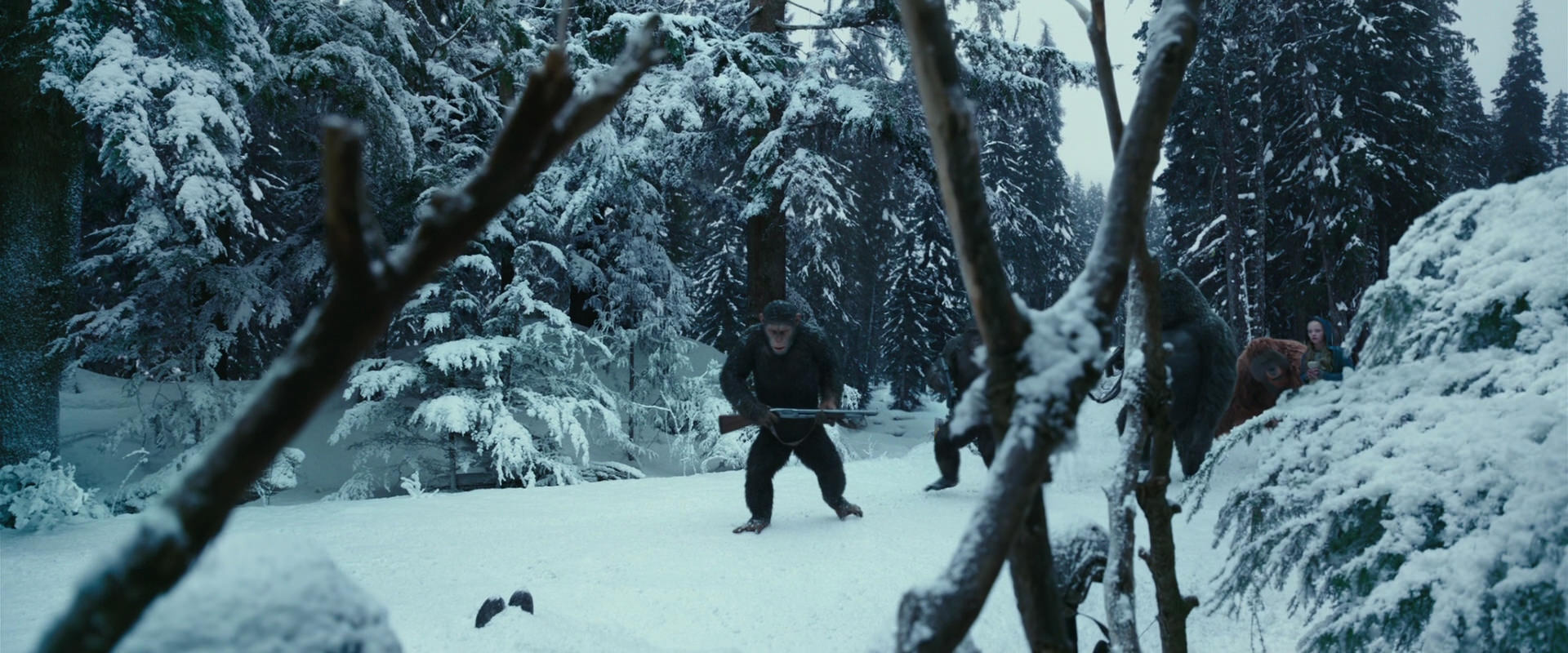 War for the Planet of the Apes (2017) HD screenshot 4610