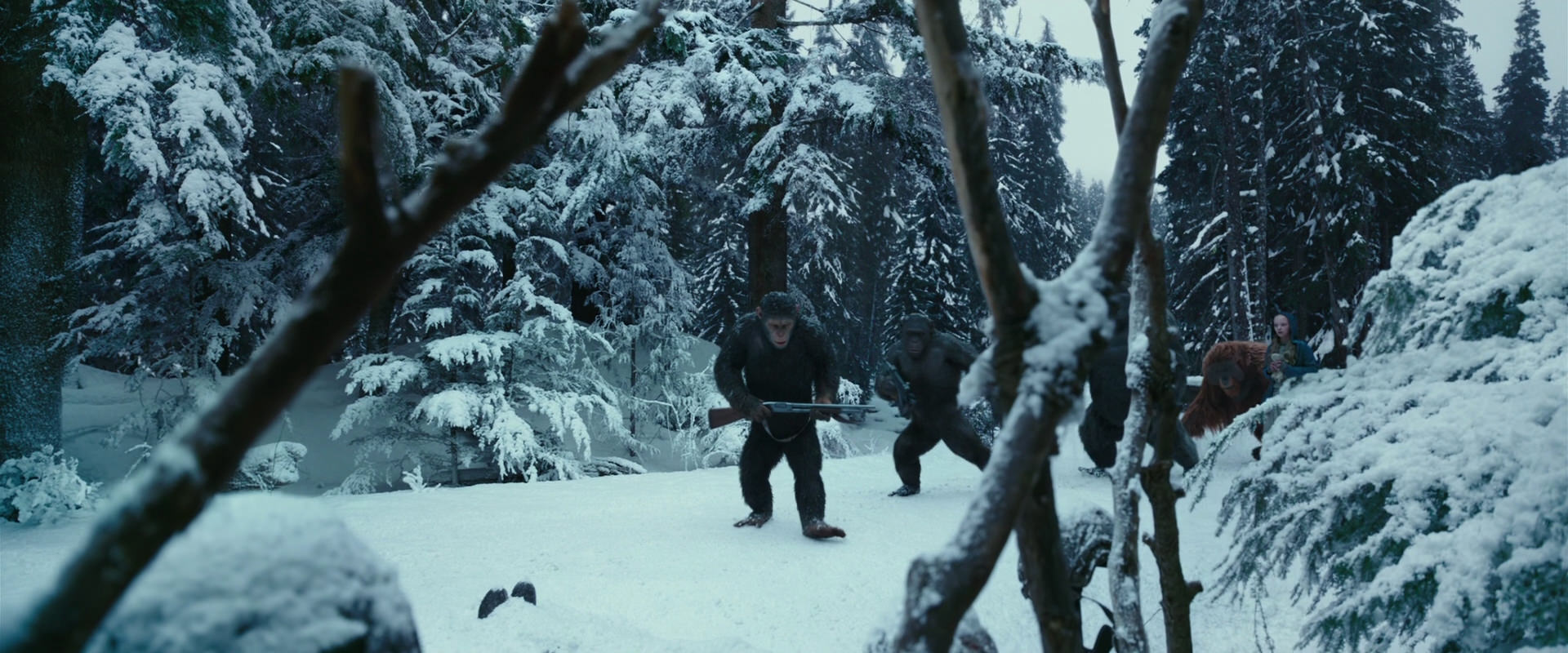 War for the Planet of the Apes (2017) screencap 4611