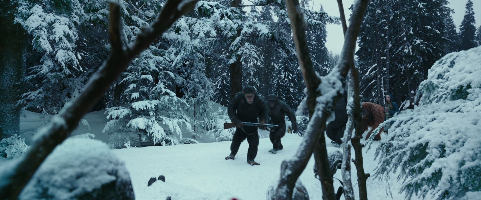 War for the Planet of the Apes (2017) movie still 4612