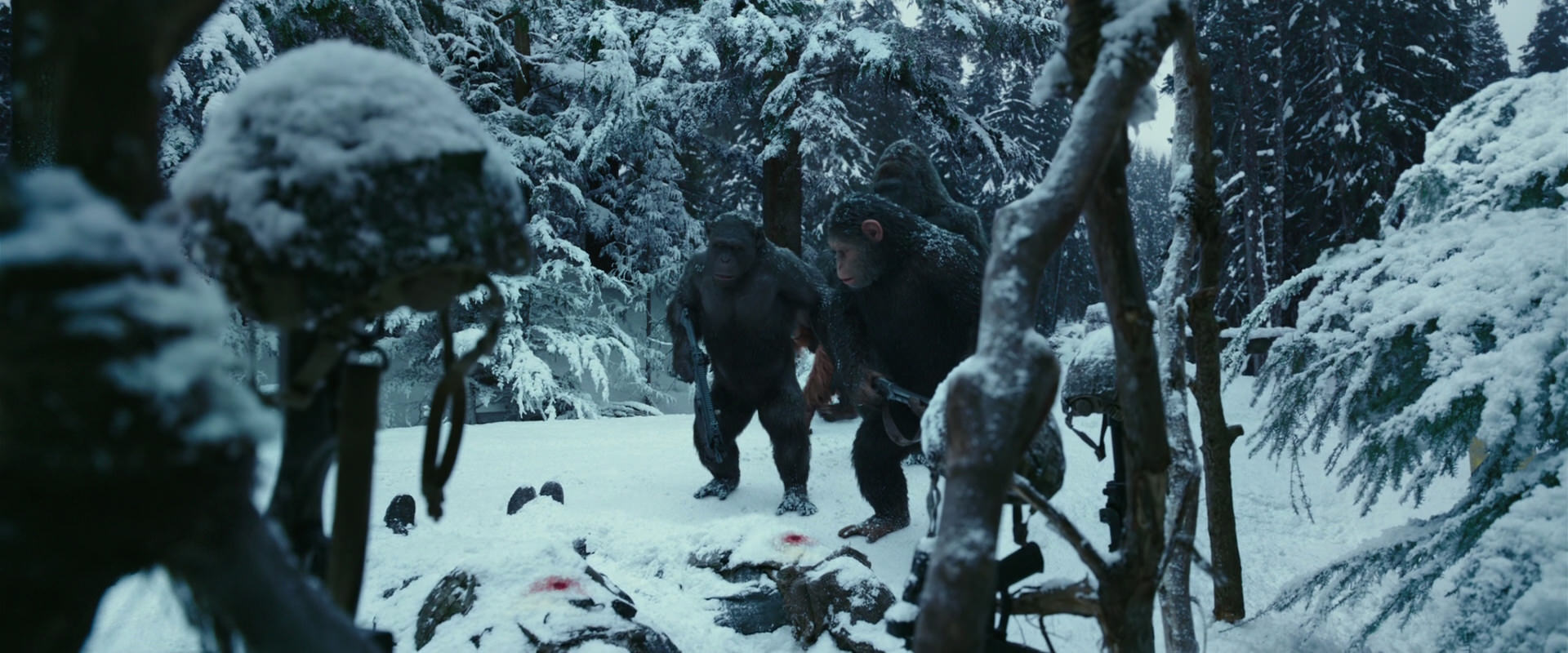 War for the Planet of the Apes (2017) movie still 4624