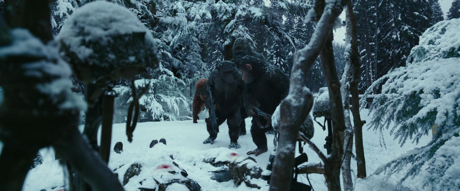 War for the Planet of the Apes (2017) screencap 4626
