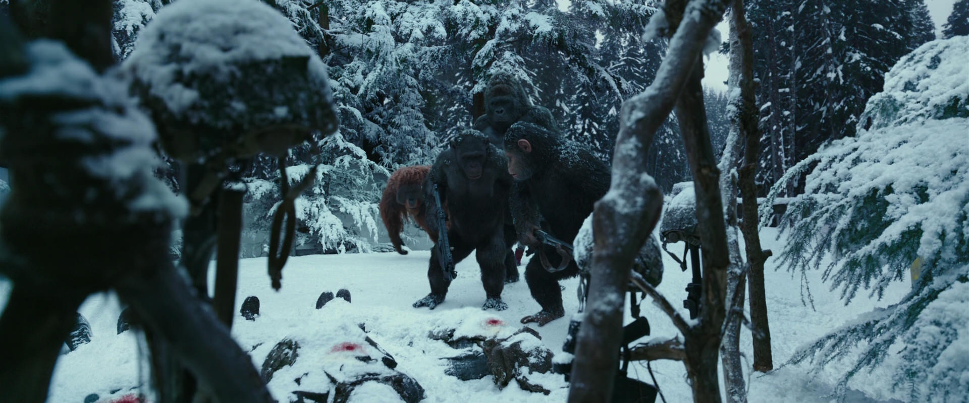 War for the Planet of the Apes (2017) movie still 4627