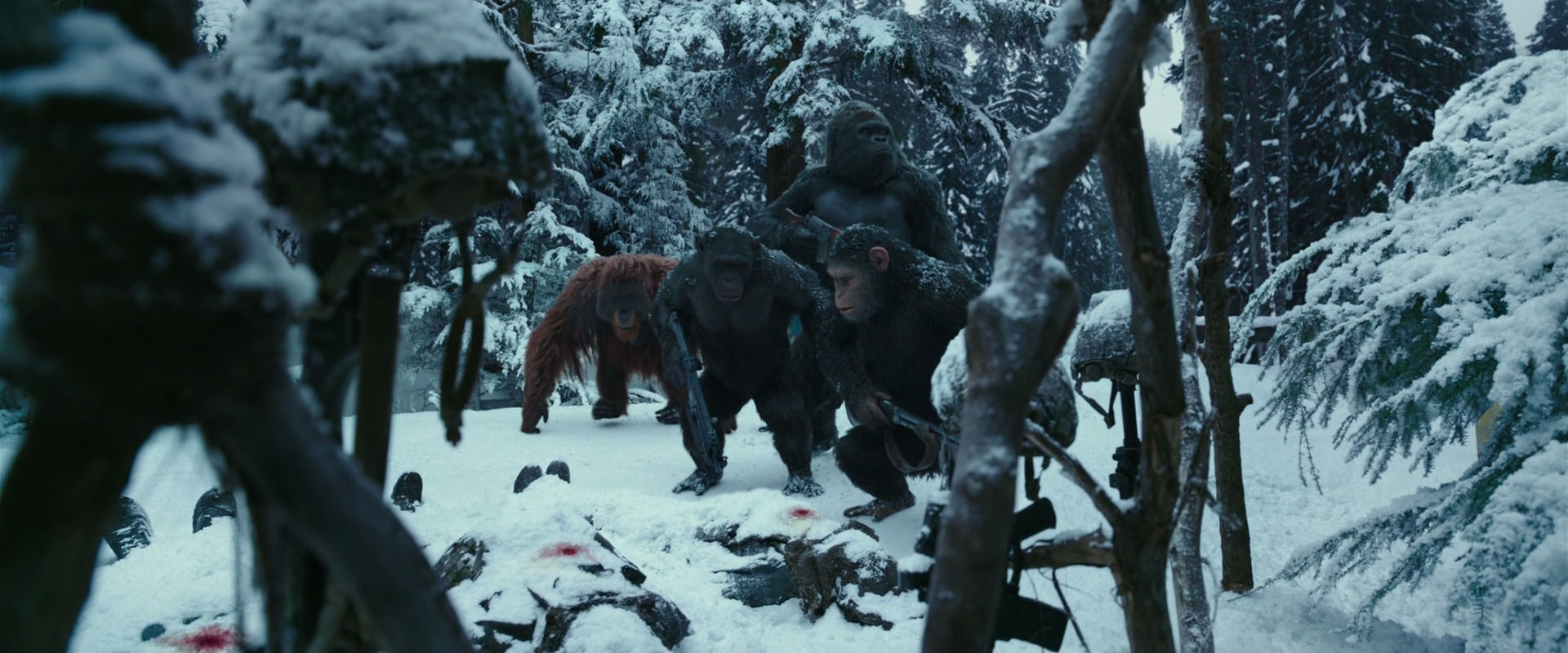 War for the Planet of the Apes (2017) screencap 4629