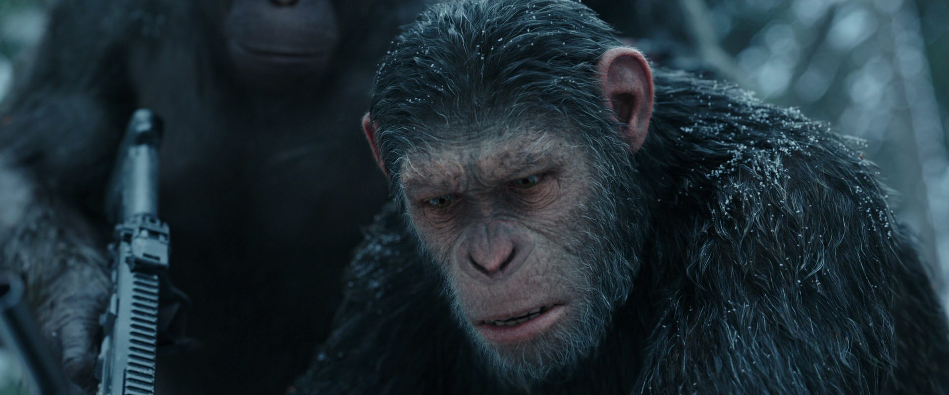 War for the Planet of the Apes (2017) movie still 4636