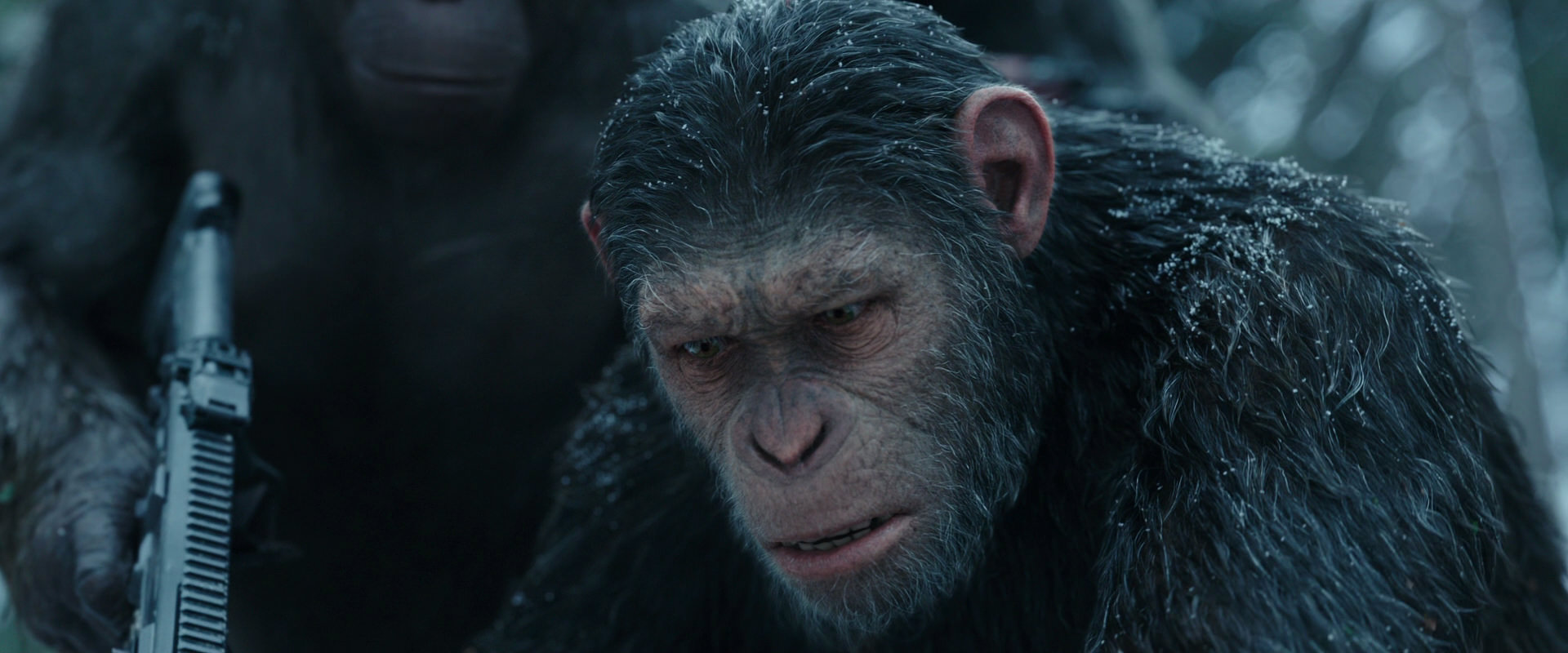 War for the Planet of the Apes (2017) HD screenshot 4637