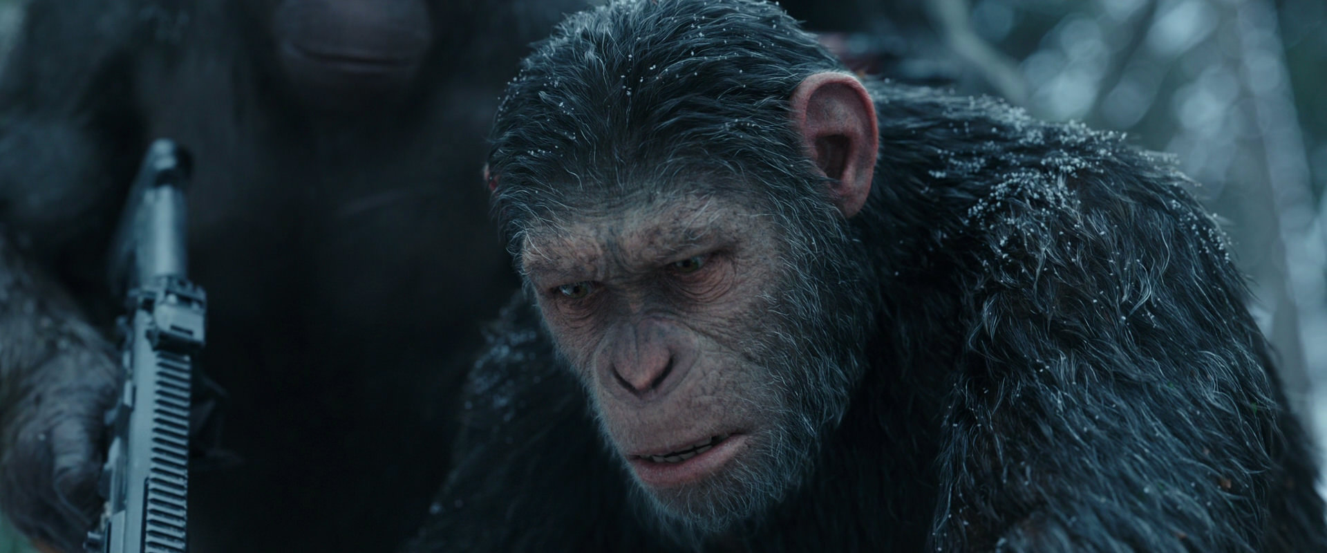 War for the Planet of the Apes (2017) screencap 4638
